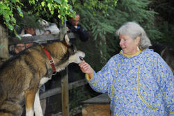 Mary Shields’ day tour takes place at her private residence and kennel. // (c) Christopher Batin