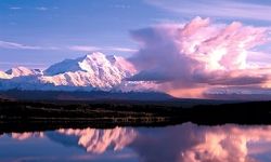 Denali Park Resorts // © Denali Park Resorts