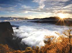 Sunrise at Alishan National Scenic Area // (c) Tourism Bureau, Ministry of Transportation & Communications, R.O.C.