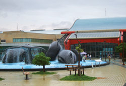 National Museum of Marine Biology & Aquarium // (c) Monica Poling