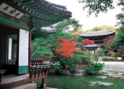 The Secret Garden at Changdeokgung Palace // (C) 2009 Korea Tourism Organization