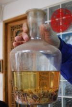 Homemade scorpion-infused alcohol // Skye Mayring 2009