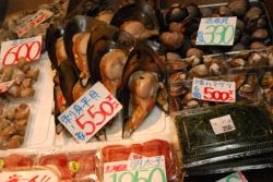 Tsukiji Fish Market in Tokyo // (c) Skye Mayring 2009
