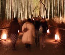 Sagano Bamboo Grove // © 2010 Deanna Ting_square Sagano Bamboo Grove // © 2010 Deanna Ting_square