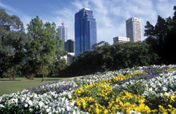 Kings Park is sacred to Aborigines. // (c) Tourism Australia