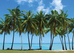 Some say Aitutaki might be the most beautiful island on earth.// (C) 2009 Robert Paul Young