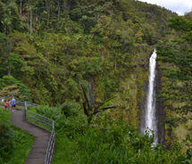 The Akaka Falls State Park waterfalls are a stunning sight to behold in person. // © 2012 Mindy Poder