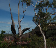 Kakadu National Park // © 2011 Janeen Christoff
