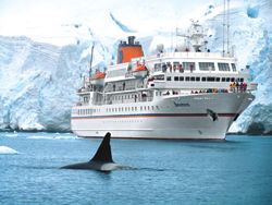 Passengers on the MS Bremen are able to get close to the action in Antarctica. // (c) Hapag-Lloyd