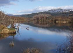 A morning canoe tour of Scotland’s Loch Tay proved memorable.// © 2010 NZ_Willowherb