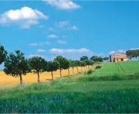CountryWalkers Tours offers unique ways to see the European countryside