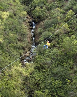 Soaring over the trees on a zipline tour with Skyline Eco-Adventures, Maui, a Hawaii Ecotourism Association member. // © Skyline Eco-Adventures