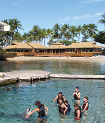 The new Dolphin Quest Village at Hilton Waikoloa Village is now LEED-certified. // (c) Dolphin Quest