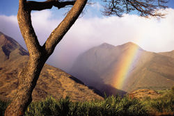 Travelers to Hawaii will find no shortage of deals. // (c) Photos.com