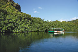 Smith’s has a fleet of 12 open-air river boats. // (c) Smith’s Fern Grotto Wailua River Cruise