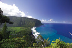 The view of Waipio Valley from the lookout is one of the best in the islands. // (c) Hawaii’s Big Island Visitor Bureau