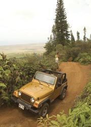 090803mauisimple_2
