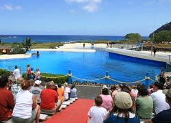 Groups can rent out Sea Life Park for the day.// (C) 2010 Sea Life Park