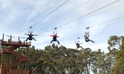 Piiholo Ranch Zipline // © 2010