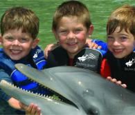 Children enjoy the Dolphin Quest Program // © 2011 Dolphin Quest Children enjoy the Dolphin Quest Program // © 2011 Dolphin Quest