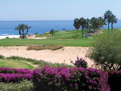 The Cabo Real Golf Club will be a part of the 6th Annual People vs. Pros Golf Tournament. // (c) Todd Mazza
