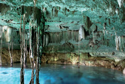 The first cenote that clients visit with Mayan Ecotours // (c) Mayan Ecotours The first cenote that clients visit with Mayan Ecotours // (c) Mayan Ecotours