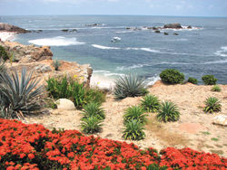 View from a master suite at the Four Seasons Punta Mita // (c) Patricia Alisau
