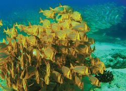091026cabo_2