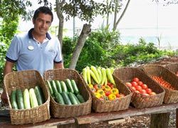 Guests who take a complimentary morning tour of the resort get the chance to visit the greenhouse and sample its fresh produce. // © 2010 Karisma Hotels & Resorts 2010