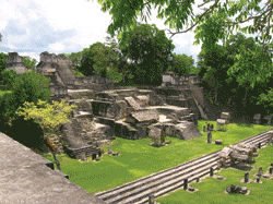 The Central Acropolis at Tikal is part of the sprawling ancient complex // (c) Jo Ann Deasy