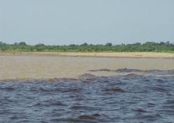 Photo: Parting of the Waters, Manaus, Brazil // (c) Monica Poling 2008