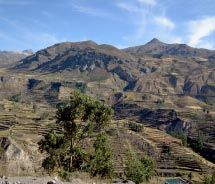 Colca Canyon // © 2012 Janeen Christoff