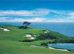 The Resort at Pelican Hill // (c) 2009