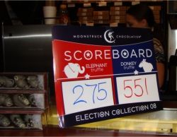 Moonstruck Election Polls // (c) Monica Poling 2008