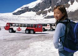 The Athabasca Glacier is one of the most visited in North America.// © 2010 Brewster Inc.