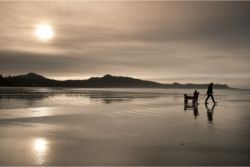 Beachcombing is a popular activity at the Pacific Sands Resort // (c) 2010