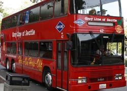 GrayLine Bus // © 2010 Jeff Muceus