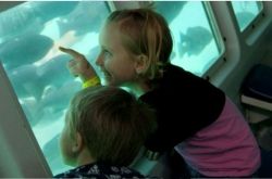 Unlimited Free Activities on Catalina Island // (c) 2009