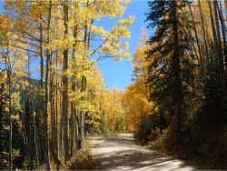 Kebler Pass // (c) 2008 Kebler Pass // (c) 2008