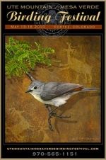 Mesa Verde Birding Festival // (c) 2009