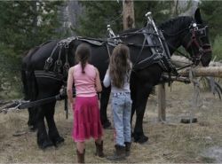 Young guests meet the locals at the Idaho Rocky Mountain Ranch // (c) Idaho Rocky Mountain Ranch