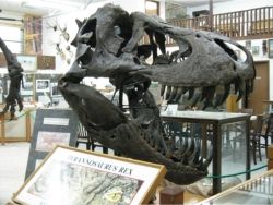 Montana's Dinosaur Trail // (c) 2009