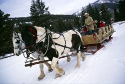 Stay and Ski Deals at 320 Guest Ranch // (c) 2009