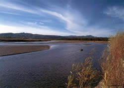 Mesilla Valley follows the Rio Grande for three miles along the Bosque // (c) Erica Asmus-Otero, NM State Parks