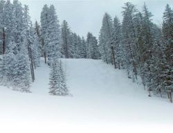 New Mexico's Pajarito Mountain is a popular ski area // (c) 2010 www.skipajarito.com