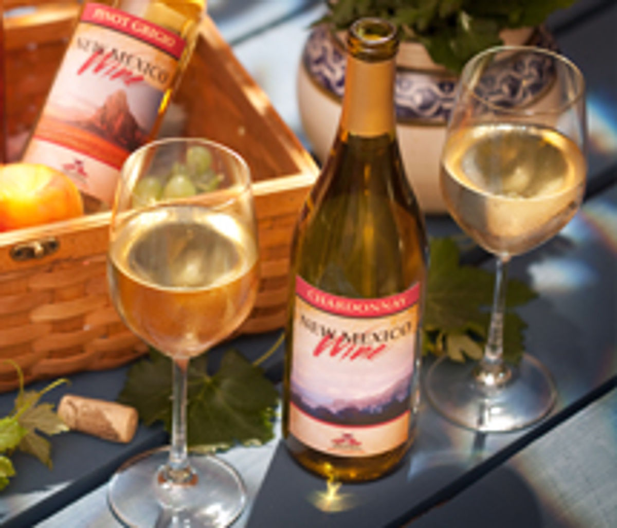 2012 Albuquerque Wine Festival TravelAge West