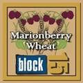 Block Berry 15 is brewing up fruit-infused ales // (c) 2009