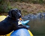 Rogue Wilderness Adventures // (c) 2010