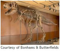 Samson the T. Rex // (c) Bonhams & Butterfields
