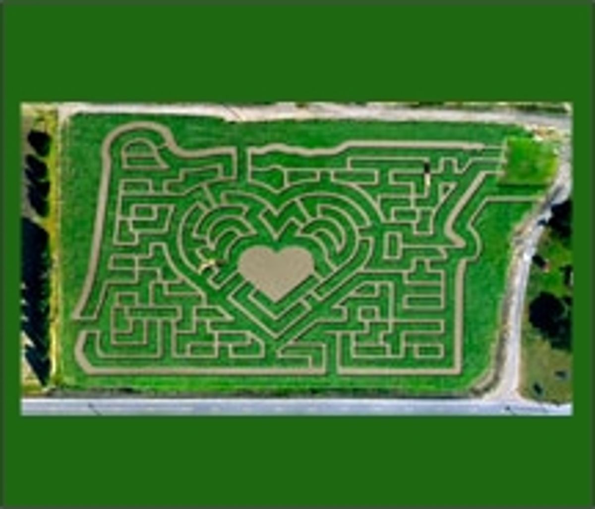Pumpkin Patch and Maze Return to Sauvie Island TravelAge West